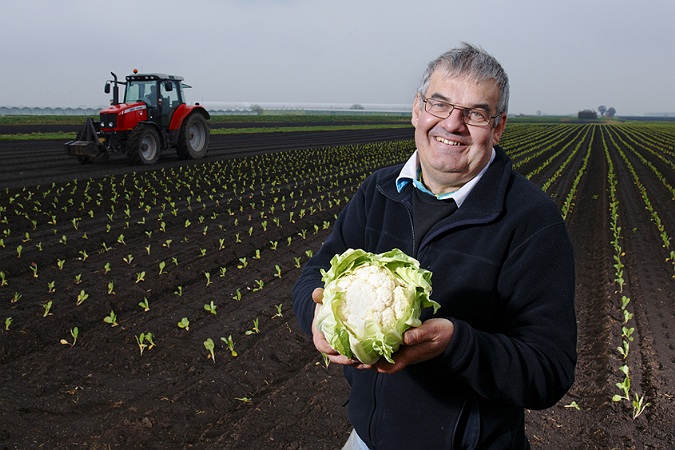 commercial photographer manchester, cauliflower harvest, farming, farmer portrait, UK