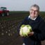 commercial photographer manchester, cauliflower harvest, farming, farmer portrait, UK